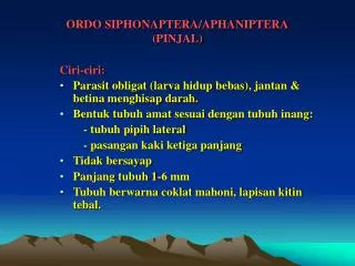 ordo siphonaptera aphaniptera pinjal