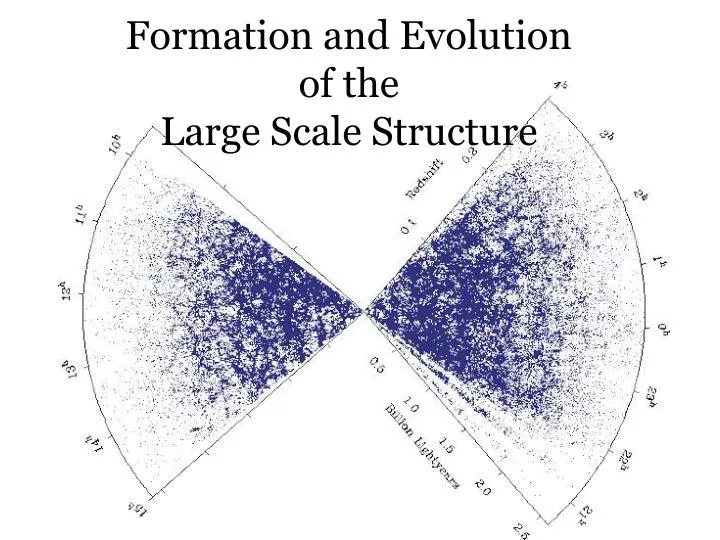formation and evolution of the large scale structure