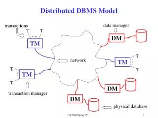 Distributed DBMS Model