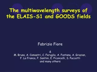 The multiwavelength surveys of the ELAIS-S1 and GOODS fields