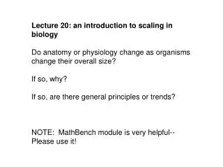 Lecture 20: an introduction to scaling in biology