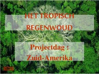 het tropisch regenwoud