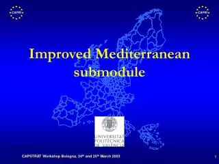 Improved Mediterranean submodule