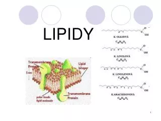 lipidy