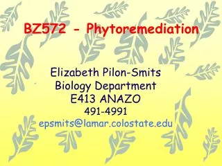 BZ572 - Phytoremediation
