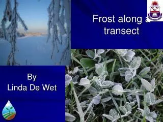Frost along a transect