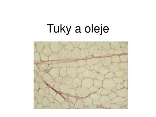 tuky a oleje