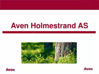 aven holmestrand as