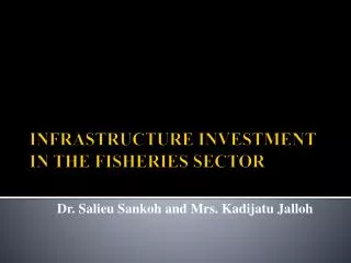 INFRASTRUCTURE INVESTMENT IN THE FISHERIES SECTOR
