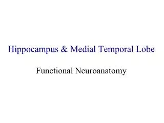 Hippocampus &amp; Medial Temporal Lobe Functional Neuroanatomy
