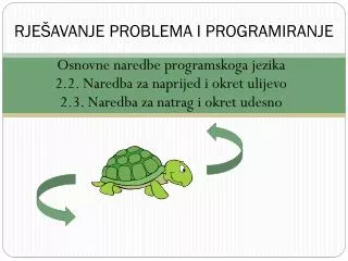 rje avanje problema i programiranje