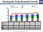 Meeting the Peak Demand Growth