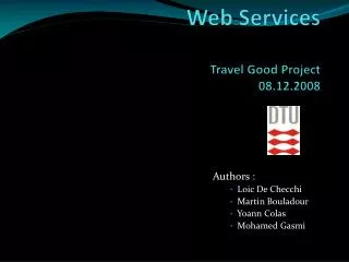 Software Development of Web Services Travel Good Project 08.12.2008