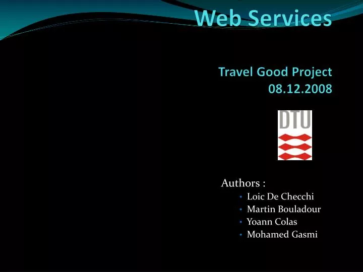 software development of web services travel good project 08 12 2008