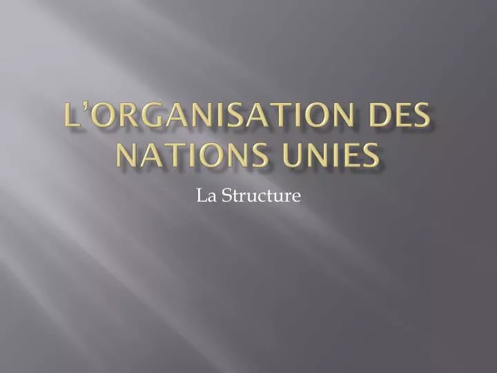 l organisation des nations unies