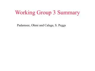 working group 3 summary