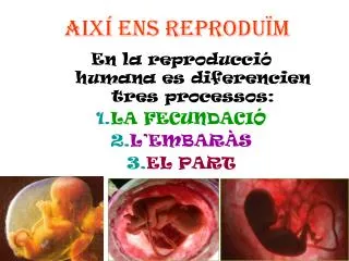 aix ens reprodu m