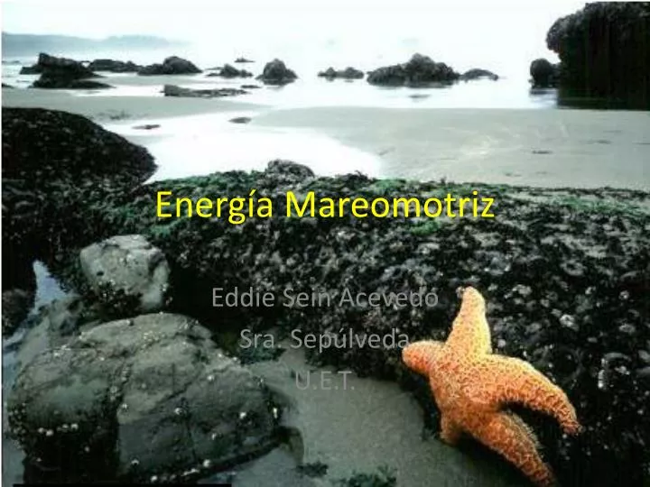 energ a mareomotriz