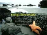 Energía Mareomotriz - slide 1