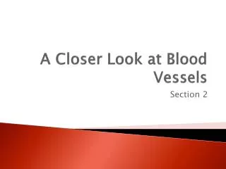 A Closer Look at Blood Vessels