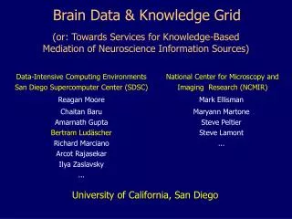 Brain Data &amp; Knowledge Grid