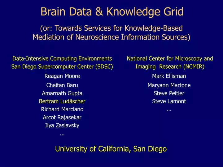 brain data knowledge grid