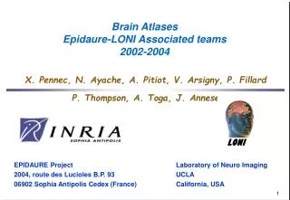 Brain Atlases Epidaure-LONI Associated teams 2002-2004