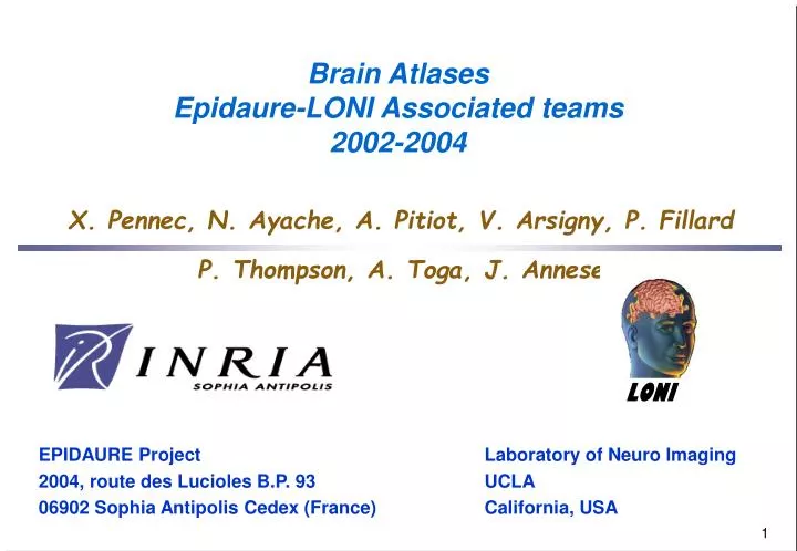 brain atlases epidaure loni associated teams 2002 2004