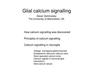 Glial calcium signalling