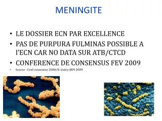 meningite