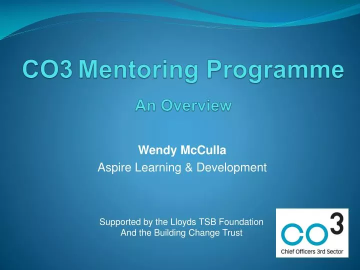 co3 mentoring programme an overview
