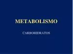 METABOLISMO - slide 1