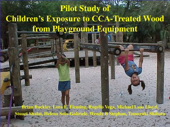 pilot study of children s exposure to cca treated wood from playground equipment