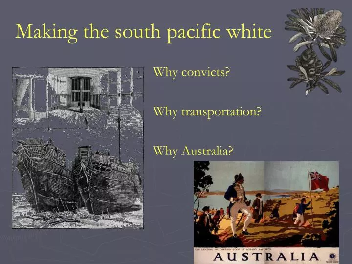 making the south pacific white