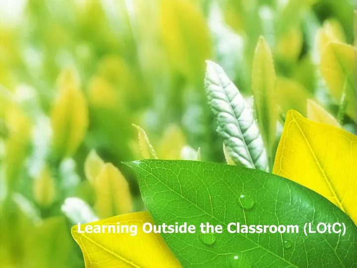learning outside the classroom lotc