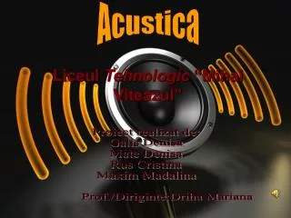liceul tehnologic mihai viteazul