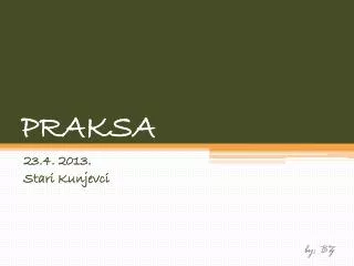 praksa