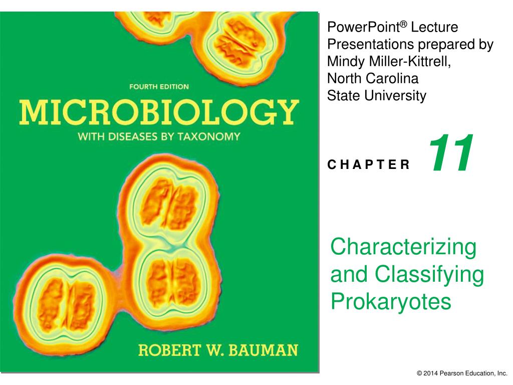 PPT - Characterizing and Classifying Prokaryotes PowerPoint ...