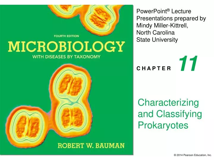 characterizing and classifying prokaryotes