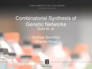 Combinatorial Synthesis of Genetic Networks