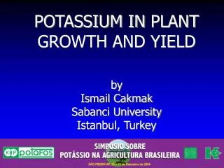 POTASSIUM IN PLANT GROWTH AND YIELD by Ismail Cakmak Sabanci University Istanbul, Turkey