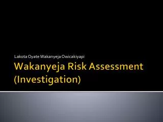 Wakanyeja Risk Assessment (Investigation)