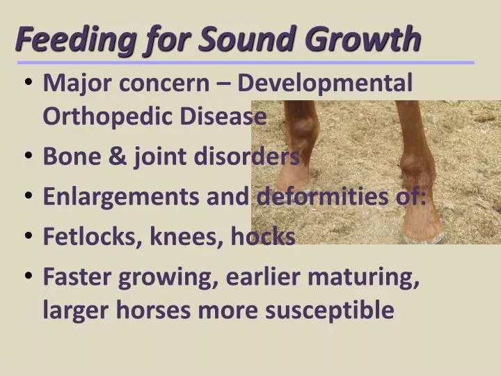 feeding for sound growth