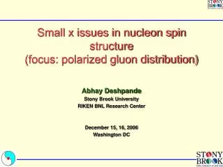Small x issues in nucleon spin structure (focus: polarized gluon distribution)