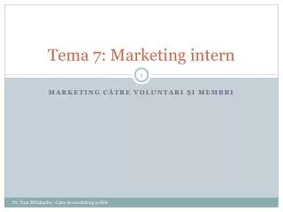 tema 7 marketing intern