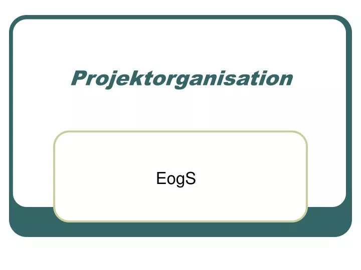 projektorganisation