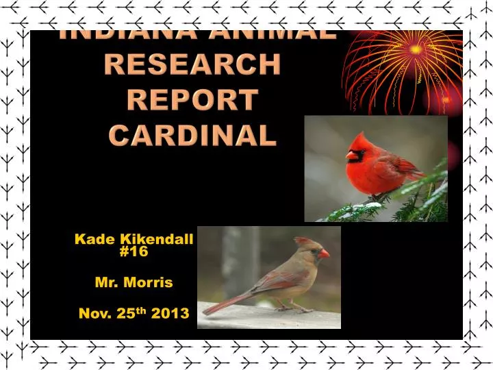 indiana animal research report cardinal