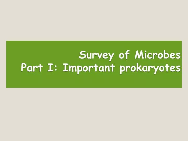 survey of microbes part i important prokaryotes
