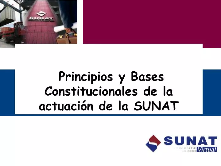 principios y bases constitucionales de la actuaci n de la sunat