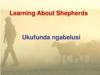 Learning About Shepherds